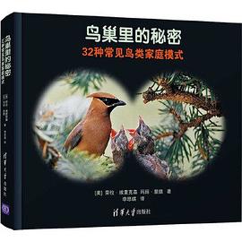 鸟巢里的秘密