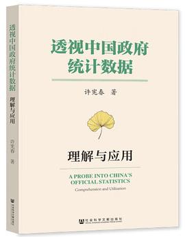 透视中国政府统计数据:理解与应用