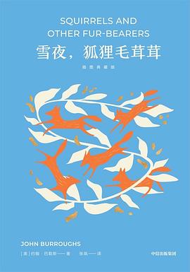 雪夜，狐狸毛茸茸