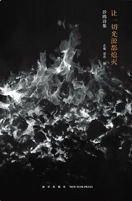 让一切光源都熄灭：沙鸥诗集