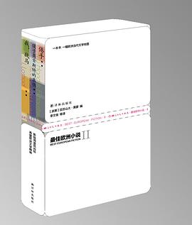 最佳欧洲小说 II
