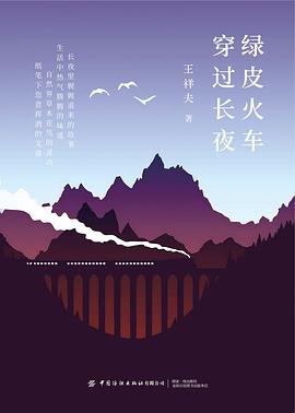 绿皮火车穿过长夜