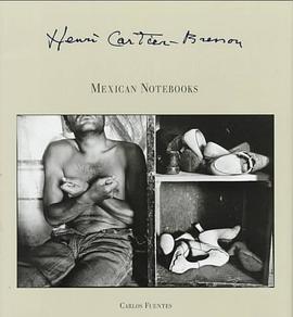 Mexican Notebooks