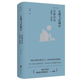 兀鹰飞过城市：宋琳诗选1982—2019