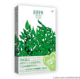 荏苒年华