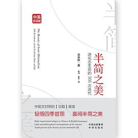 半简之美