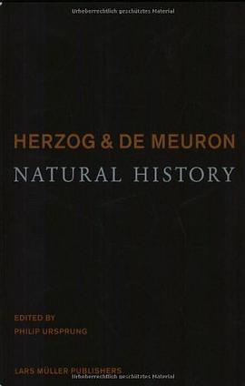 Herzog & de Meuron