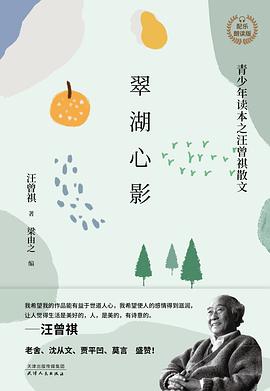 翠湖心影