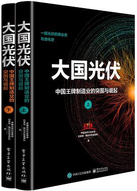 大国光伏:中国王牌制造业的突围与崛起（上下册）