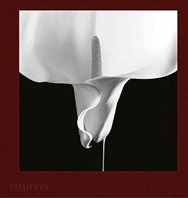 Mapplethorpe Flora: The Complete Flowers