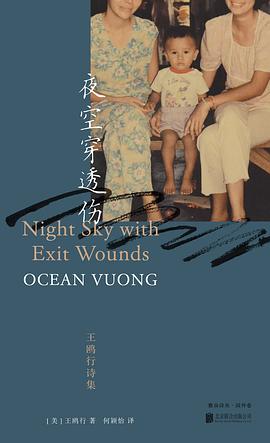 夜空穿透伤：王鸥行诗集