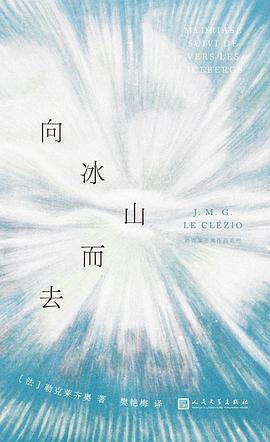 向冰山而去