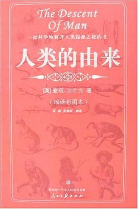 人类的由来