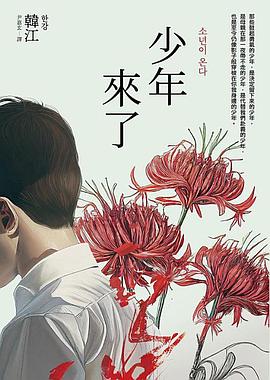 少年来了