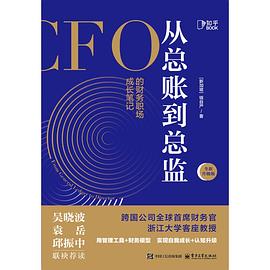 从总账到总监（全新升级版）:CFO的财务职场成长笔记