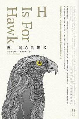 鷹與心的追尋