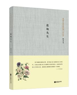 蓝袍先生