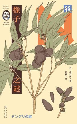 橡子之谜