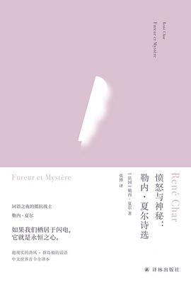 愤怒与神秘