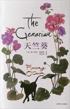 天竺葵