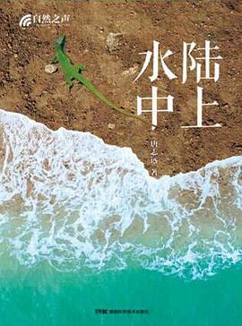 陆上水中