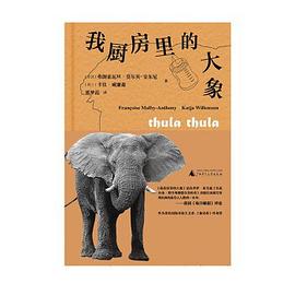 我厨房里的大象