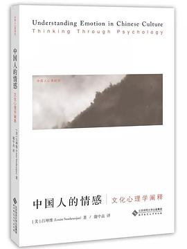 中国人的情感:文化心理学阐释