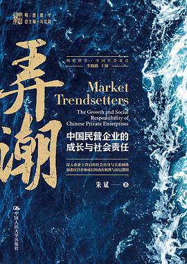 弄潮:中国民营企业的成长与社会责任