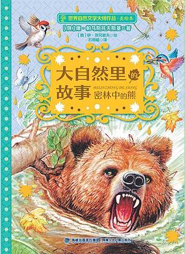 大自然里的故事 密林中的熊