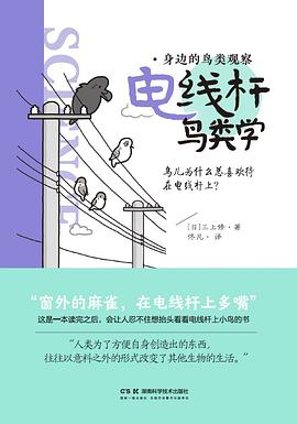 电线杆鸟类学