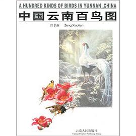 中国云南百鸟图