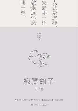 寂寞鸽子