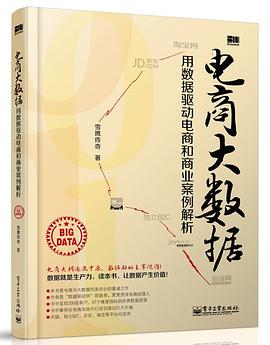 电商大数据——用数据驱动电商和商业案例解析
