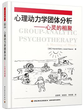 心理动力学团体分析:心灵的相聚