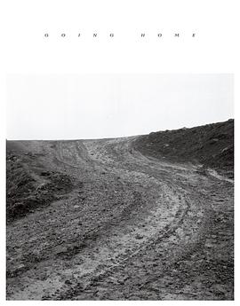 回家:Going Home
