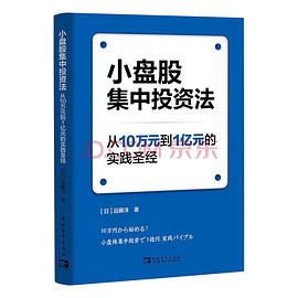 小盘股集中投资法