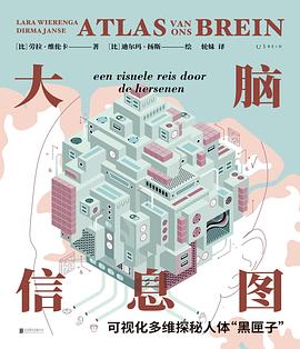 大脑信息图