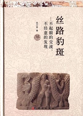 丝路豹斑