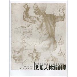 艺用人体解剖学