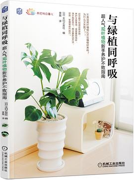 与绿植同呼吸：超人气观叶植物新手养护不败指南