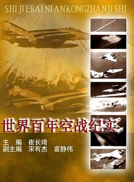 世界百年空战纪实