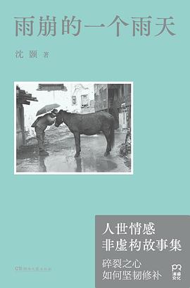 雨崩的一个雨天