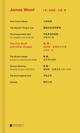 私货:詹姆斯·伍德批评文集