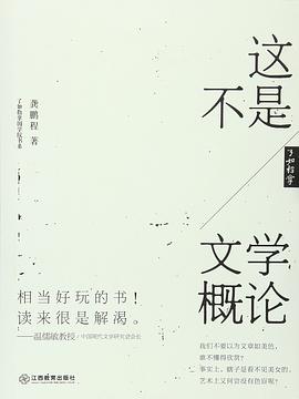 这不是文学概论