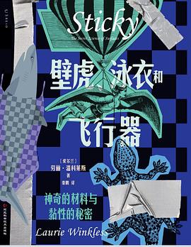 壁虎、泳衣和飞行器
