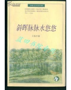 斜晖脉脉水悠悠