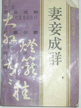 妻妾成群