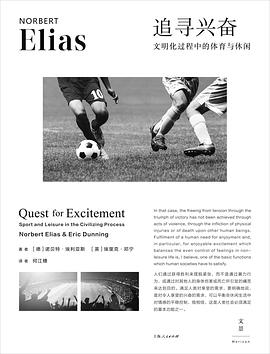 追寻兴奋