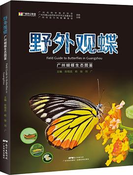野外观蝶