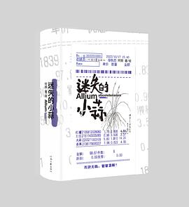 迷失的小蒜